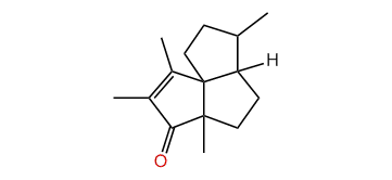 6-Silphiperfolen-5-one