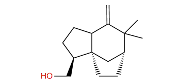 Ziza-6(13)-en-12-ol