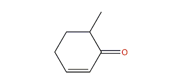 6-Methyl-2-cyclohexen-1-one