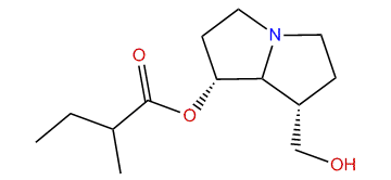 7-(2-Methylbutylryl)-platynecine