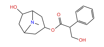 7beta-Hydroxyhyoscyamine