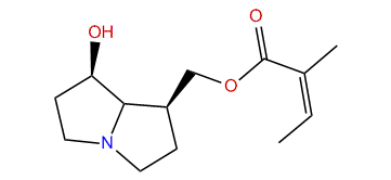 9-Angeloylplatynecine