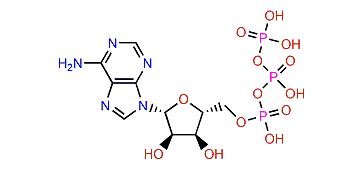 Adenosine 5'-triphosphate