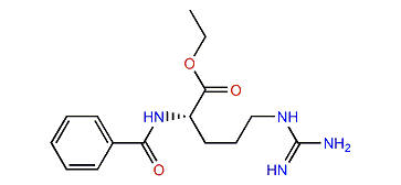 Benzoyl-L-arginine ethyl ester