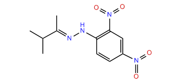 (E)-3-Methyl-(2,4-dinitrophenyl)-hydrazone butan-2-one