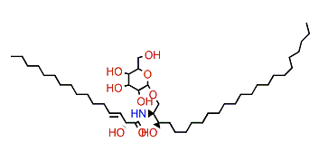 JCer-3