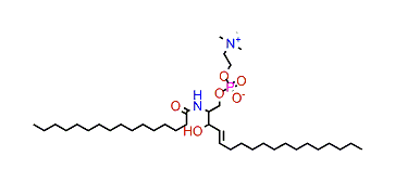 N-Palmitoylsphingomyelin