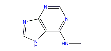 N-Methyl-7H-purin-6-amine