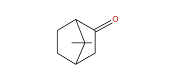 7,7-Dimethylbicyclo[2.2.1]heptan-2-one