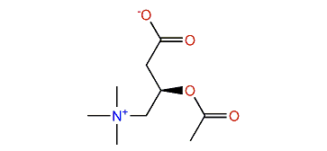 Acetyl-L-carnitine