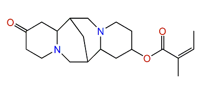 Angeloyloxymultiflorine