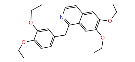 Barbonin