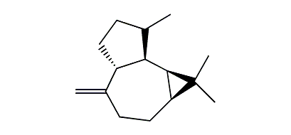 beta-Aromadendrene