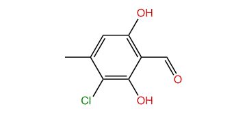 3-Chloro-2,6-dihydroxy-4-methylbenzaldehyde