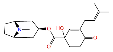 Consabatine