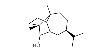 Copaborneol