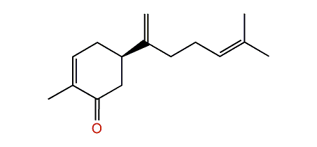 Cryptomerione