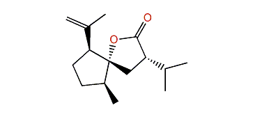 Curcumalactone