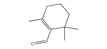 2,6,6-Trimethylcyclohexenecarbaldehyde