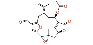 Deepoxylophotoxin