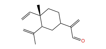 Elemenal