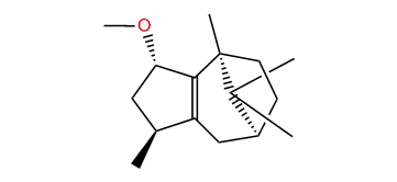 endo-5-Methoxy-beta-patchoulene