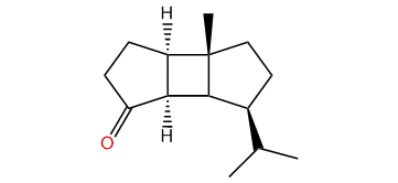 endo-Norbourbonan-1-one