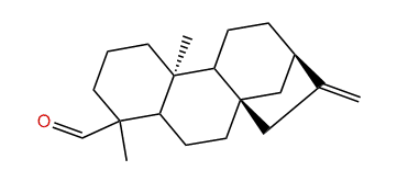 ent-Kaurenal