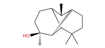 epi-Longipinanol