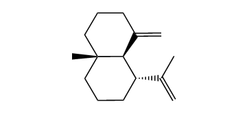 Gorgonene