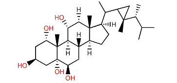 Gorgostane-1a,3b,5a,6b,11a-pentaol
