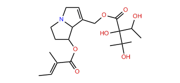 Heliosupine