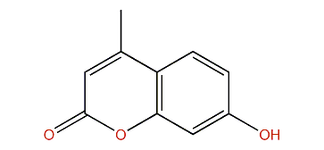 7-Hydroxy-4-methyl-2H-chromen-2-one