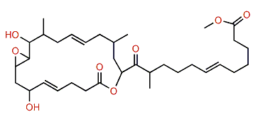 Iriomoteolide-11a