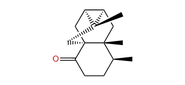 Ischwarone