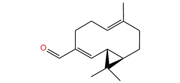 Isobicyclogermacral