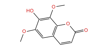 Isofraxidin