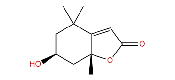 Isololiolide