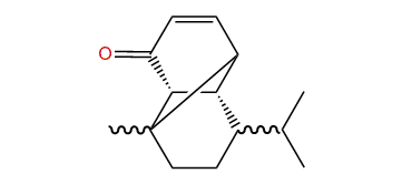 Isomustakone