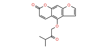 5-(Isopentyl-2-one)-psoralene