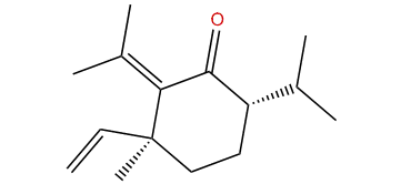 Isoshyobunone