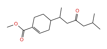 Juvabione