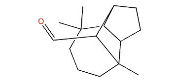 Longi-beta-camphenilanaldehyde