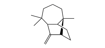 Longibornene