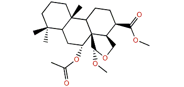 Methyl 15,17-Epoxy-7-hydroxy-17-acetoxy-16-isocopalanoate
