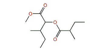 Methyl 2-(2-methylbutyroxy)-3-methylpentanoate