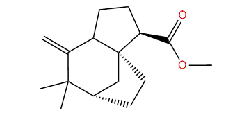 Methyl 2-epi-ziza-6(13)-en-12-oate