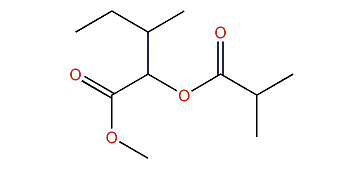 Methyl 2-isobutyroxy-3-methylpentanoate