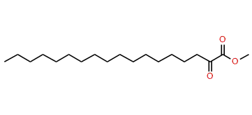 Methyl 2-oxooctadecanoate