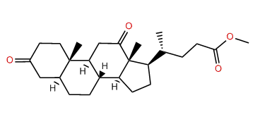 Methyl 3,12-dioxocholan-24-oate